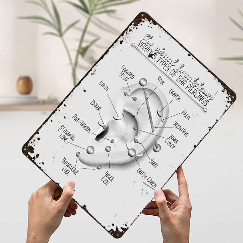 Wykres do przekłuwania uszu Me – Desk Setup Poster recenzja i cena