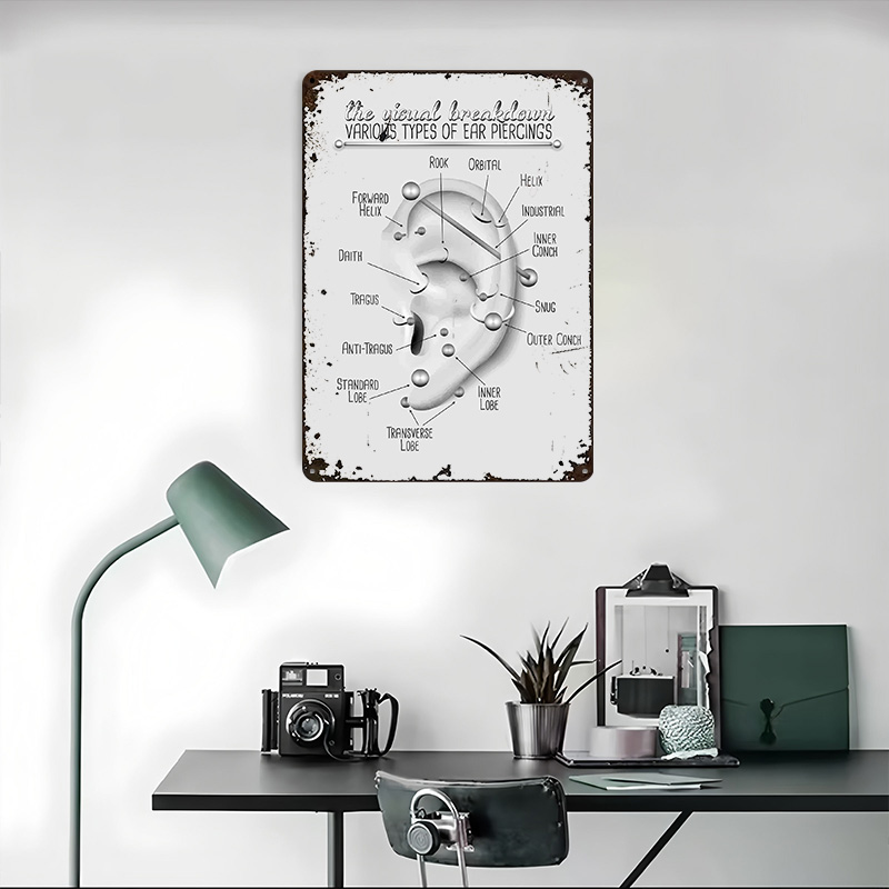 Wykres do przekłuwania uszu Me – Desk Setup Poster recenzja i cena
